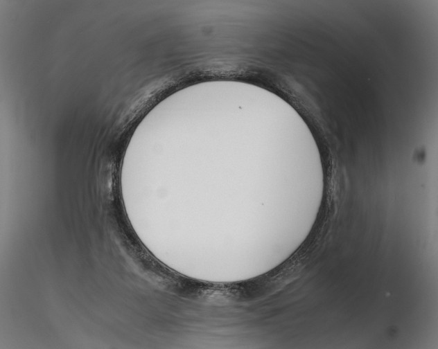 X0000115500115200912041047