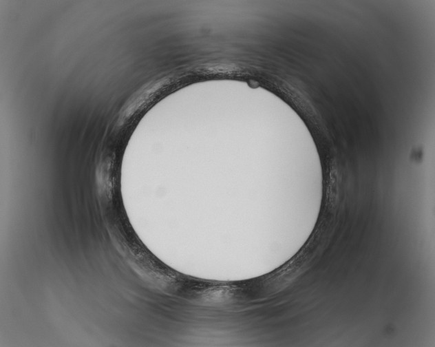 X0000115500116200912041047