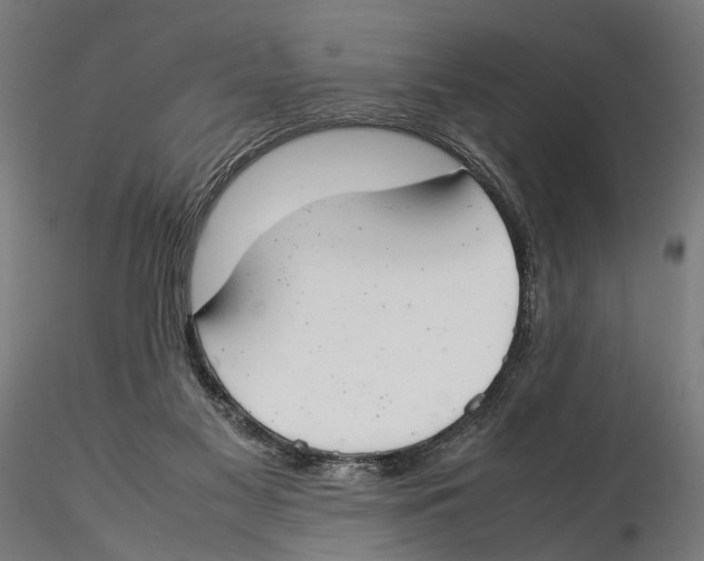 X0000115500117200912041047