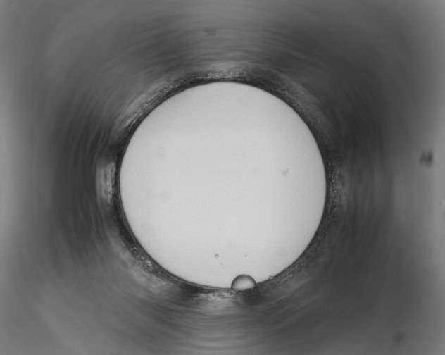 X0000115500118200912041047