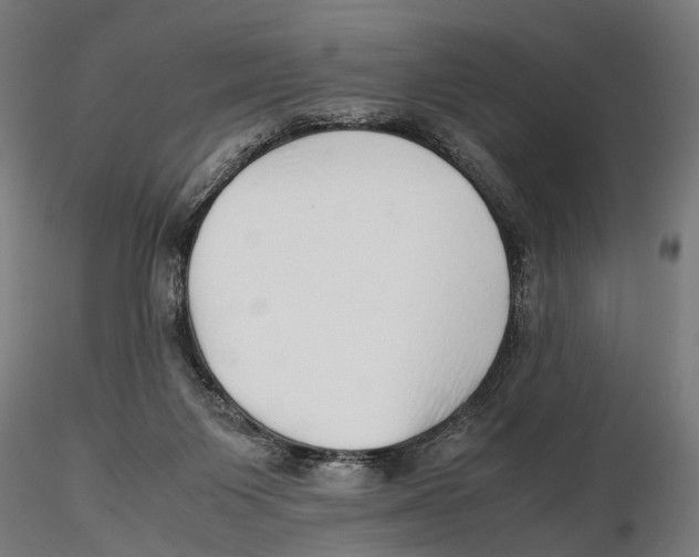 X0000115500119200912041047