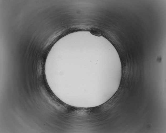 X0000115500120200912041047