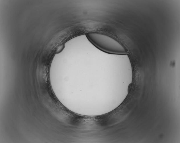 X0000115500121200912041047