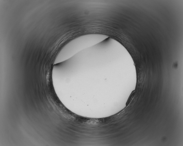 X0000115500124200912041047