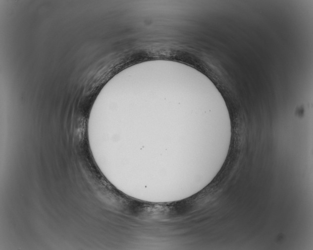 X0000115500125200912041047