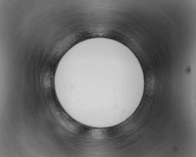 X0000115500126200912041046