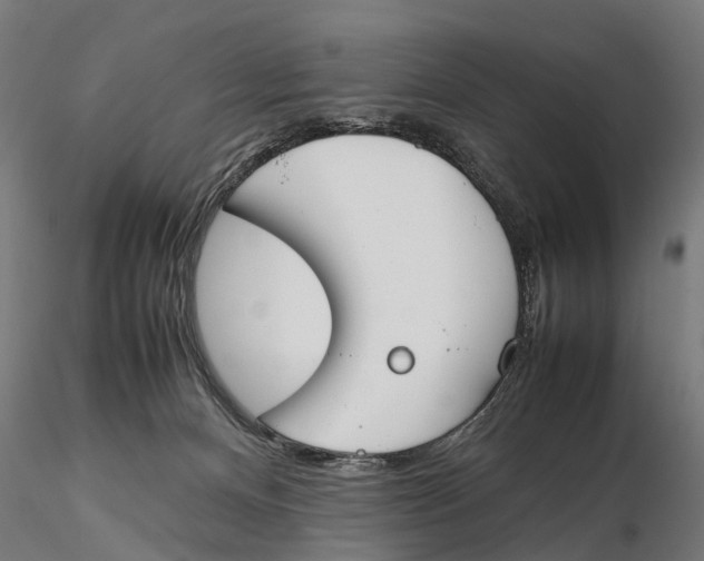 X0000115500128200912041046
