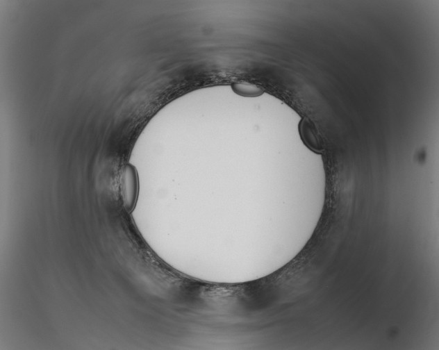 X0000115500129200912041046