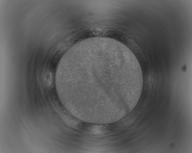 X0000115500130200912041046