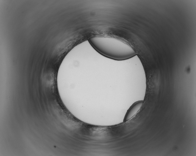 X0000115500132200912041046