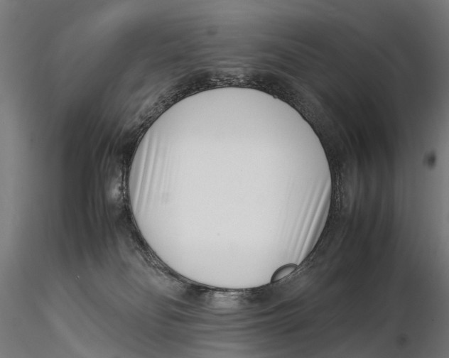 X0000115500134200912041046
