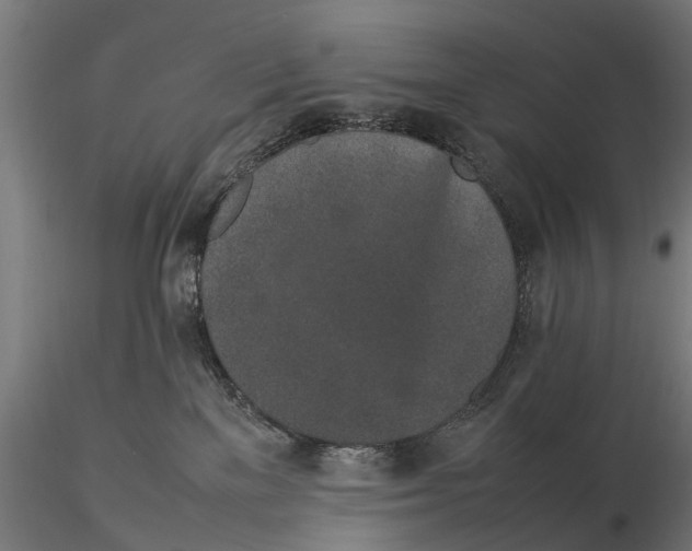 X0000115500137200912041046