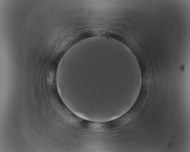 X0000115500139200912041046