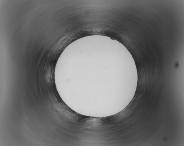 X0000115500140200912041046