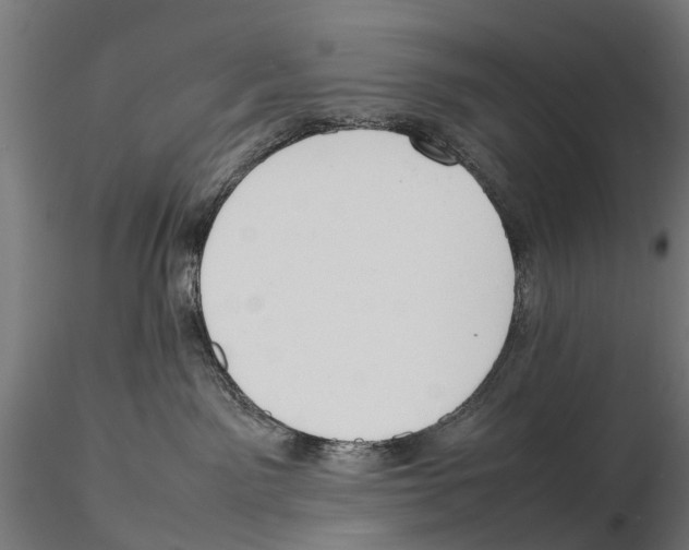 X0000115500141200912041046