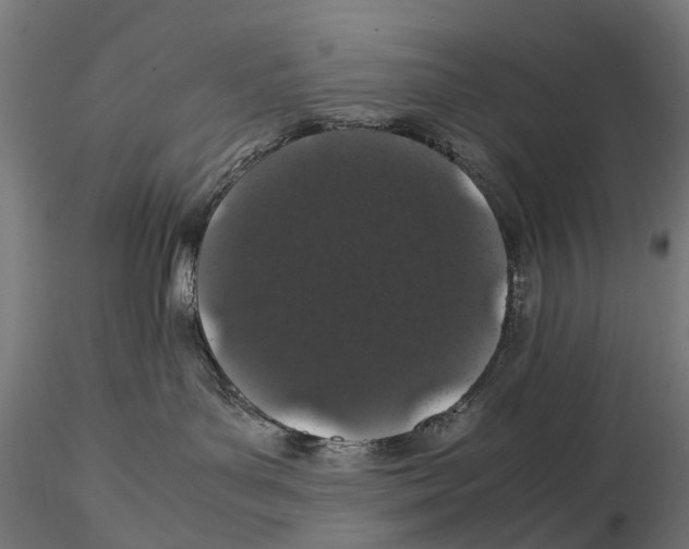 X0000115500143200912041046