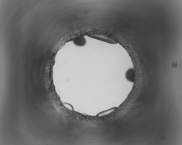 X0000115500144200912041046