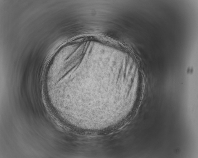 X0000115500145200912041045