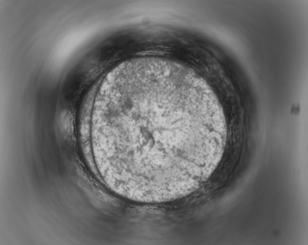 X0000115500146200912041045