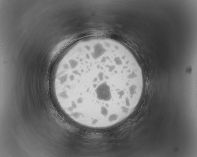 X0000115500149200912041045