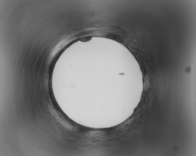 X0000115500150200912041045