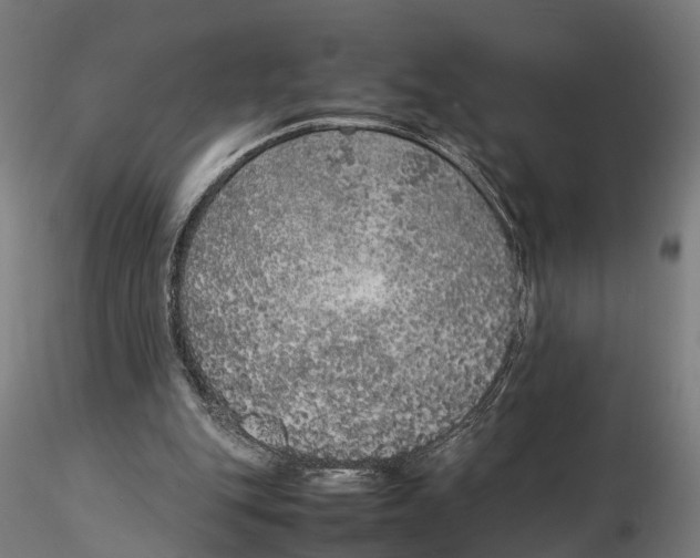 X0000115500151200912041045