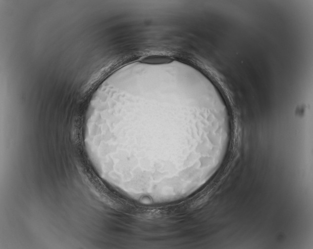 X0000115500153200912041046