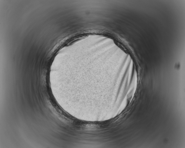 X0000115500154200912041046