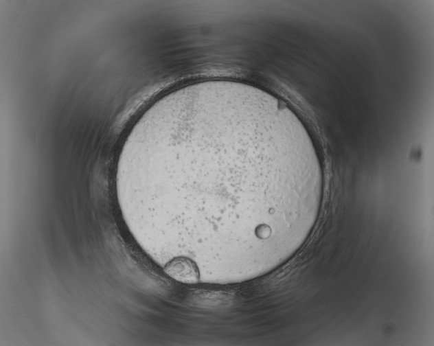 X0000115500155200912041046