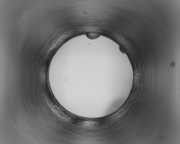 X0000115500158200912041046