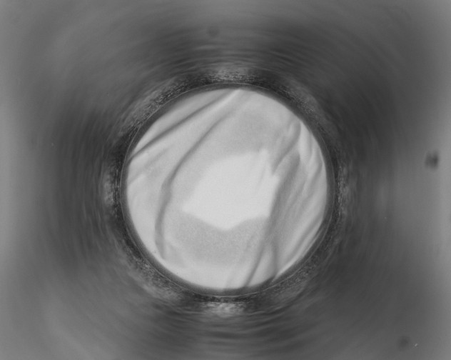 X0000115500161200912041046