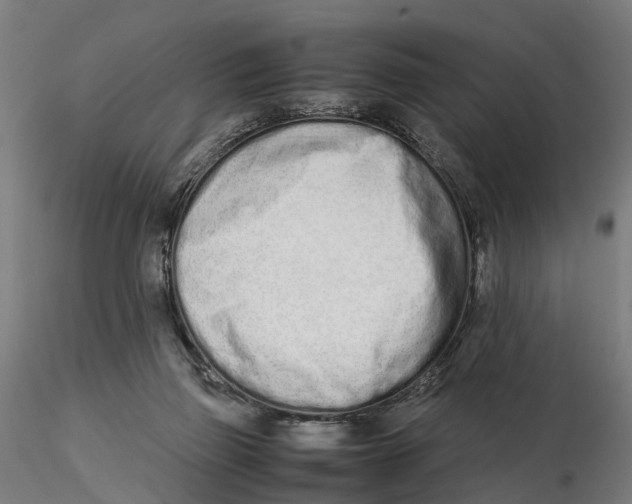 X0000115500165200912041046
