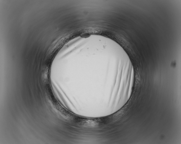 X0000115500166200912041046