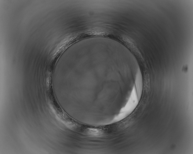 X0000115500167200912041046