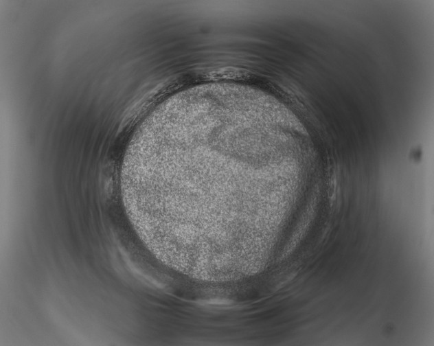 X0000115500169200912041046