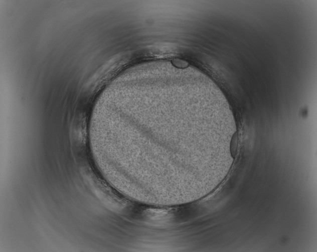 X0000115500170200912041046