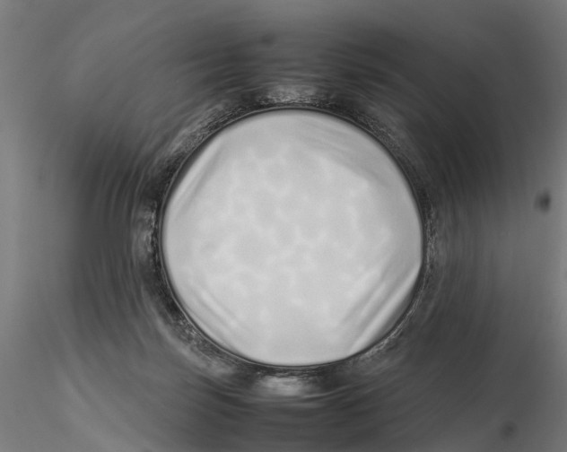 X0000115500171200912041046