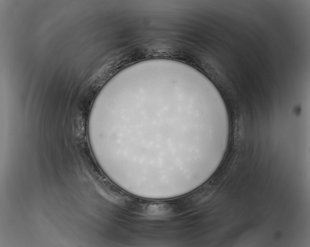 X0000115500173200912041046