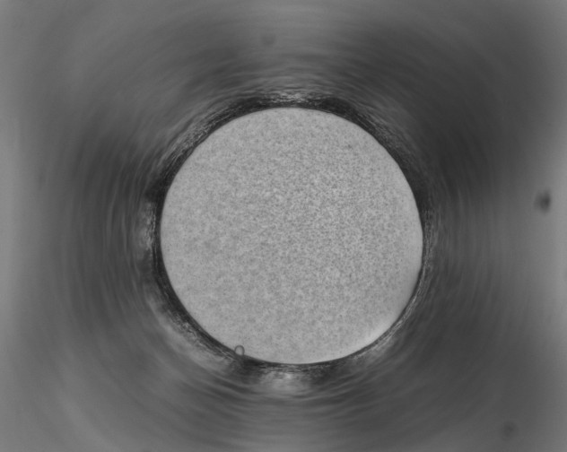 X0000115500174200912041046
