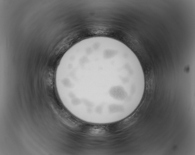 X0000115500175200912041046