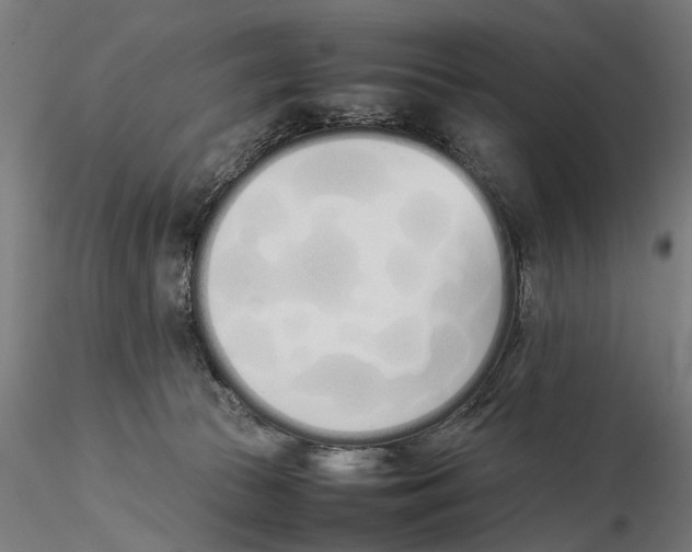 X0000115500177200912041046
