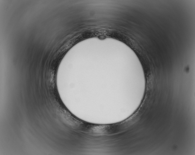 X0000115500178200912041046