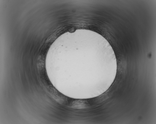X0000115500179200912041046