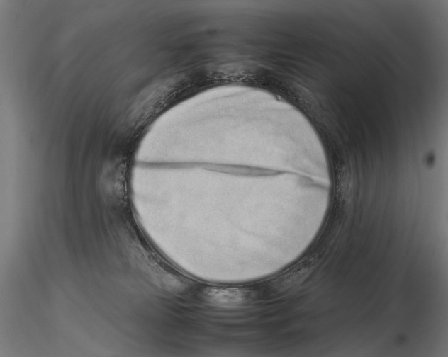 X0000115500181200912041046