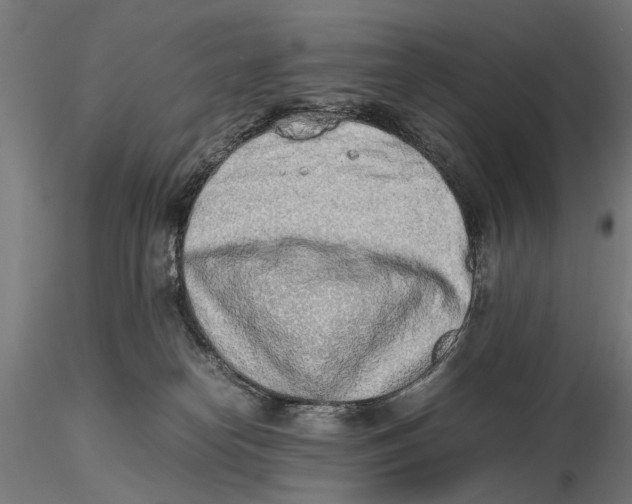 X0000115500182200912041046
