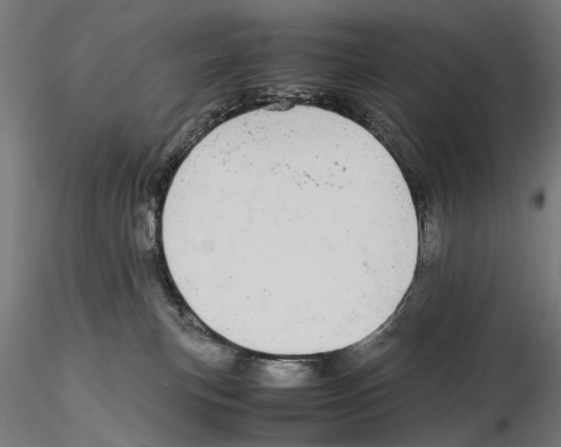X0000115500183200912041046