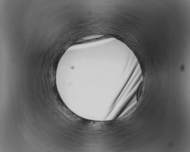 X0000115500186200912041046