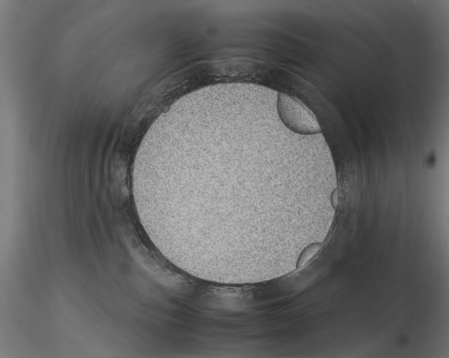 X0000115500187200912041046