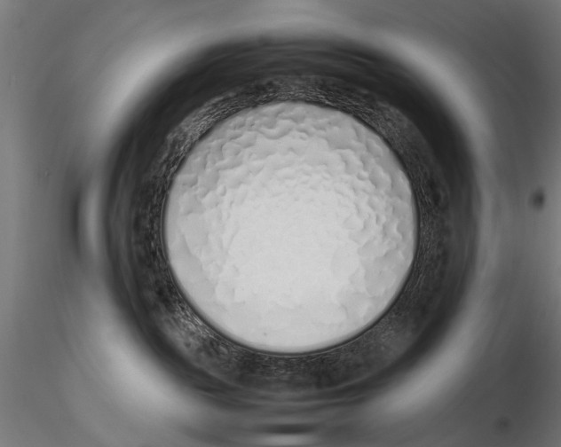 X0000115500189200912041046