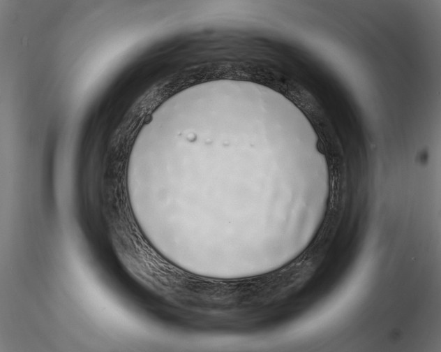 X0000115500191200912041046